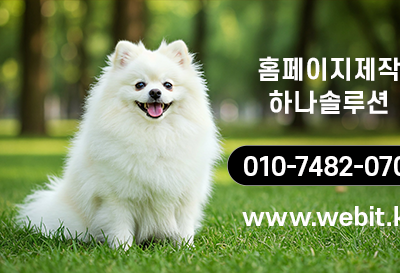 대전에서 홈페이지제작 애완동물병원 사이트 제작 계약부터 제작까지 