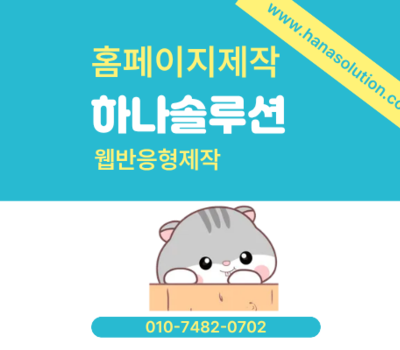 기획부터 마케팅까지, 대전 홈페이지제작 전문 하나솔루션